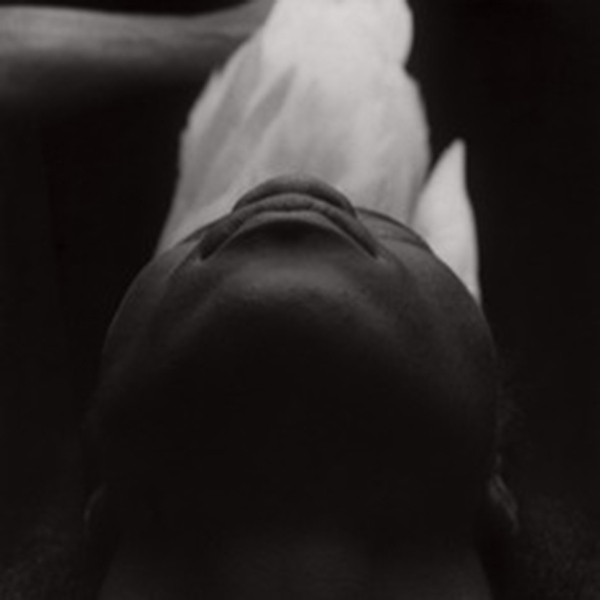 I42183009 - Mario Cravo Neto