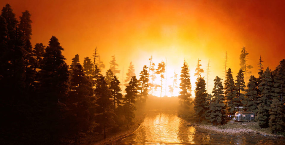 California Forest Fire - Nix Lori