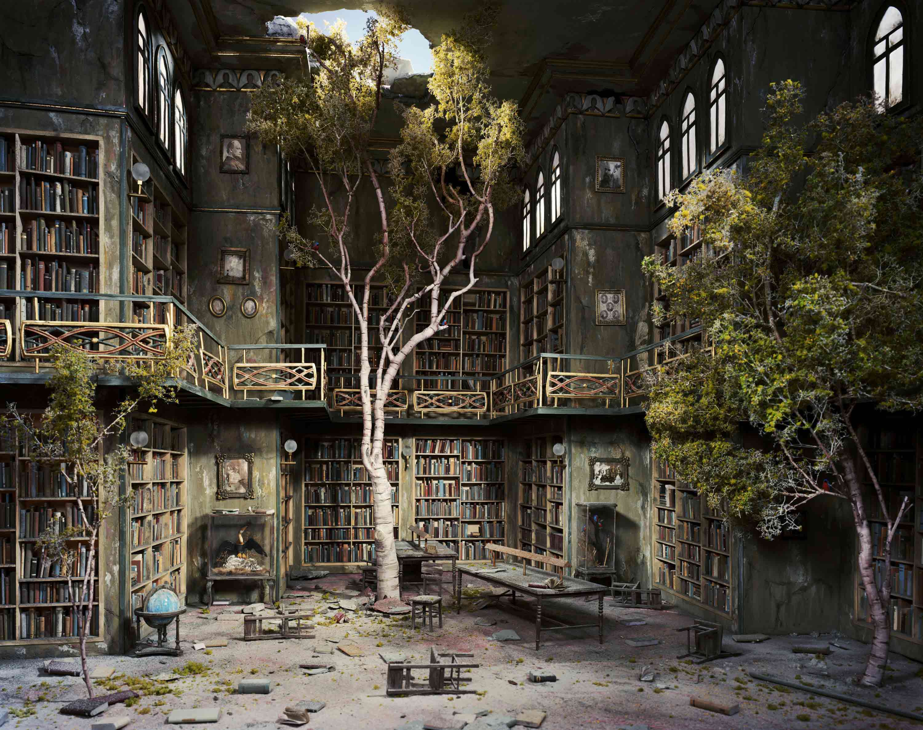 Library tree. Заброшенная библиотека. Заброшенный город. Заброшенный город фэнтези. Заброшенные места.