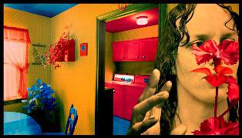 Red Flower - Skoglund Sandy