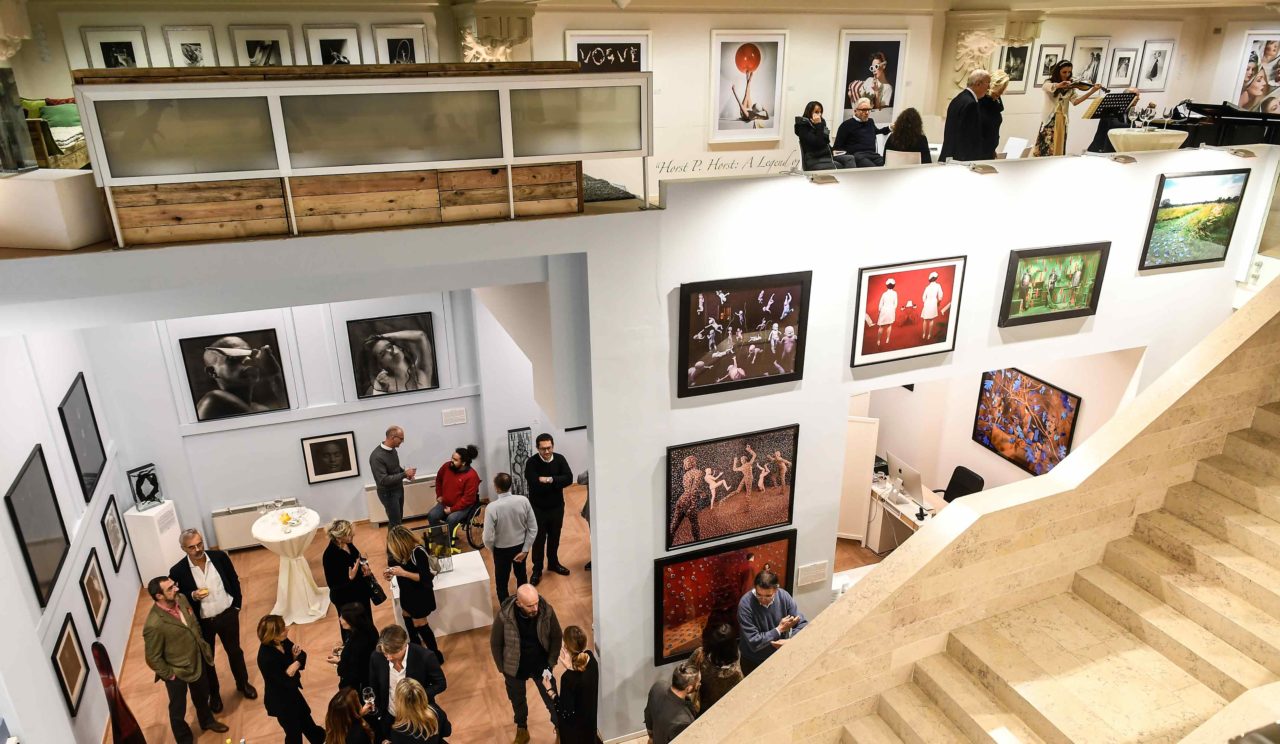 Scopri le collezioni della galleria Paci